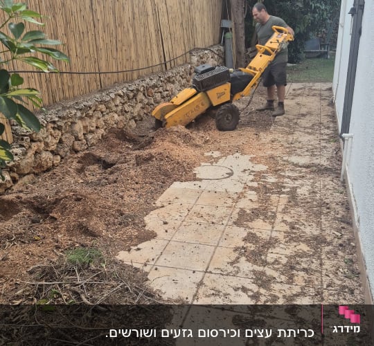 אדם משתמש במכונה לגיזום עצים בחצר